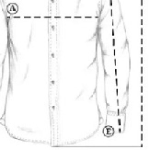 ❤️🎉HP🎉❤️ BODEN Toucan Bird Embroidered Linen Shirt, Olive, Size US 2P / … - Picture 13 of 13